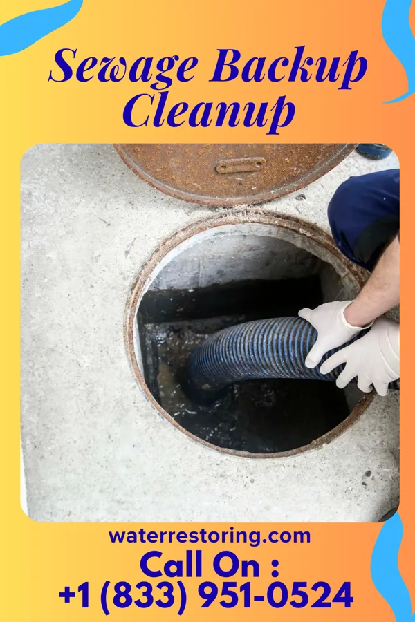 Sewage Backup Cleanup in Stillman Valley, IL